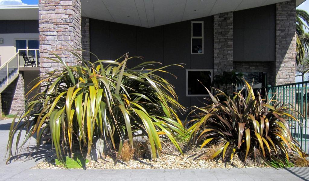 Stay 284 Rotorua - Refurbished Modern Accommodation Exteriör bild